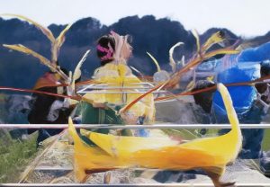 哈兰德：从天才少年到足球巨星的蜕变之路与未来展望